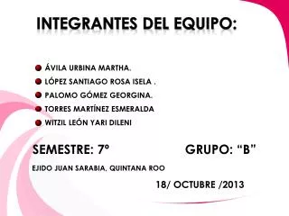 integrantes del equipo
