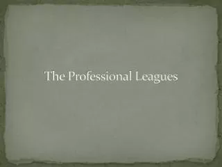 The Professional Leagues