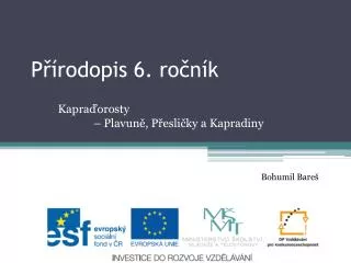 p rodopis 6 ro n k