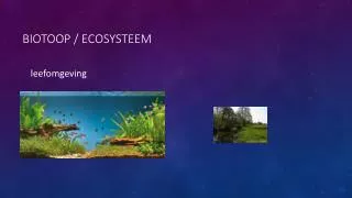 biotoop ecosysteem