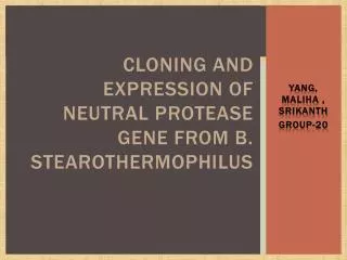 Cloning and expression of neutral protease gene from B. Stearothermophilus