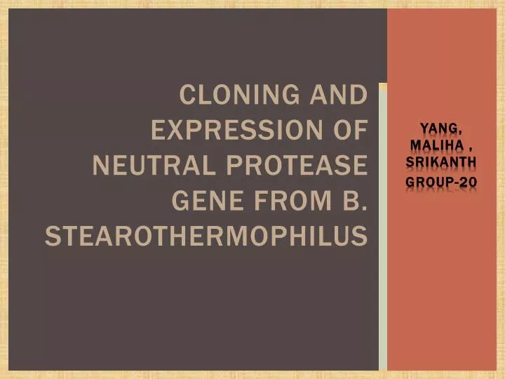 cloning and expression of neutral protease gene from b stearothermophilus