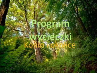 program wycieczki
