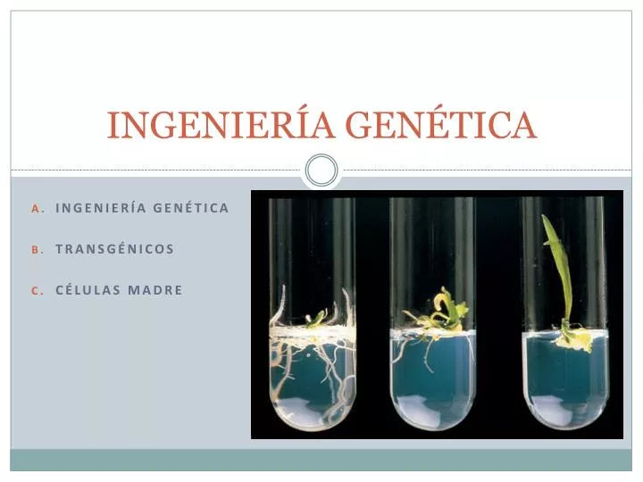 ingenier a gen tica