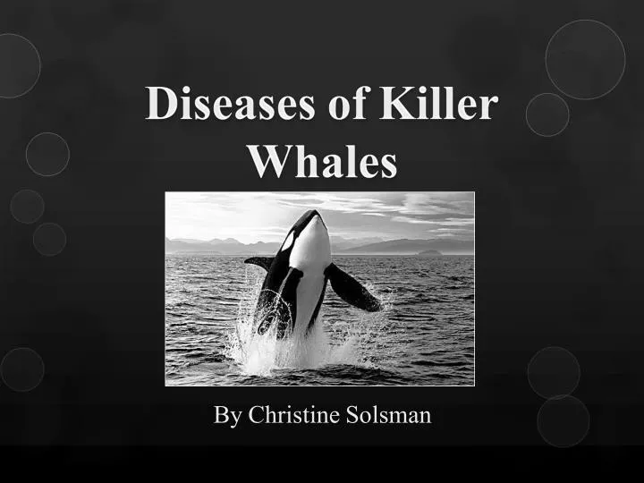diseases of killer whales