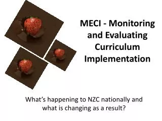 MECI - Monitoring and Evaluating Curriculum Implementation