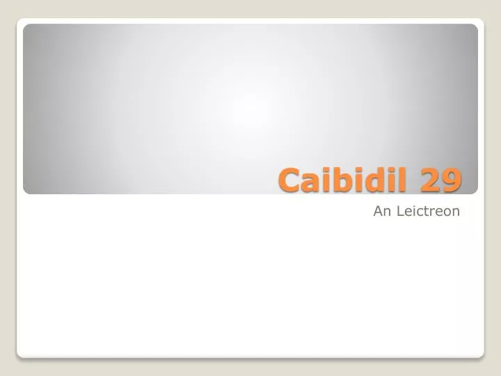 caibidil 29