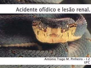 acidente of dico e les o renal