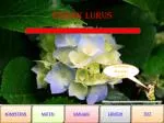 GERAK LURUS - slide 1