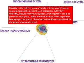 cytoskeleton