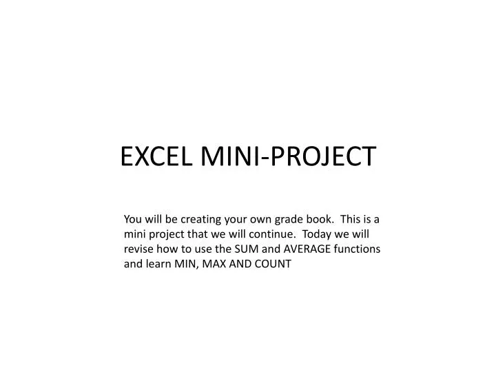 excel mini project