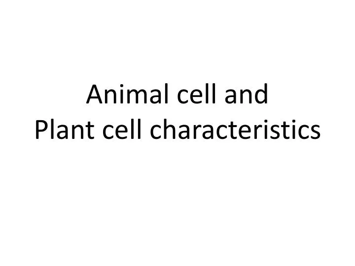 animal cell and plant cell characteristics