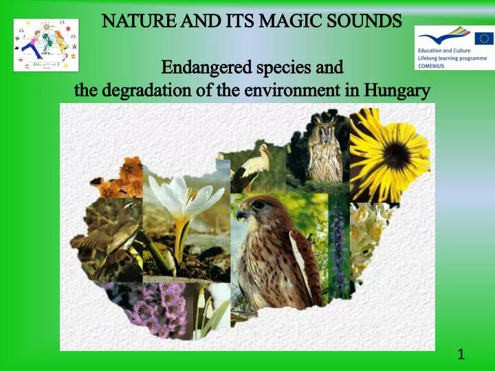 nature and its magic sounds endangered species and the degradation of the environment in hungary