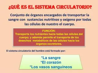 qu es el sistema circulatorio