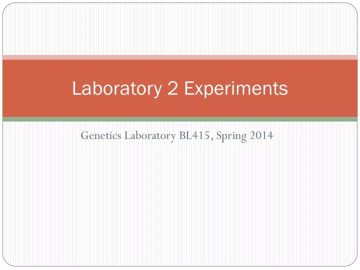 laboratory 2 experiments