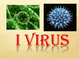 i virus