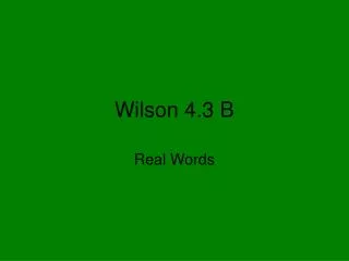 Wilson 4.3 B