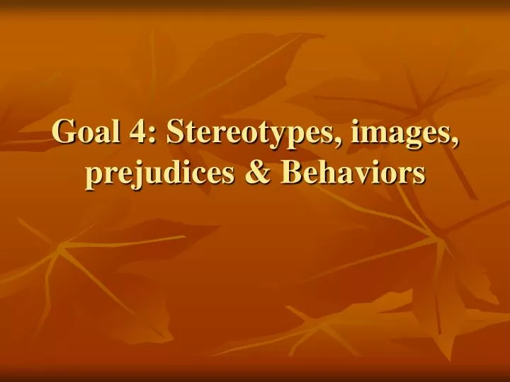goal 4 stereotypes images prejudices behaviors