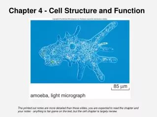 Chapter 4 - Cell Structure and Function