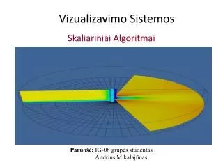 vizualizavimo sistemos