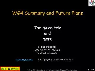 WG4 Summary and Future Plans