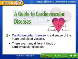 A Guide to Cardiovascular Diseases