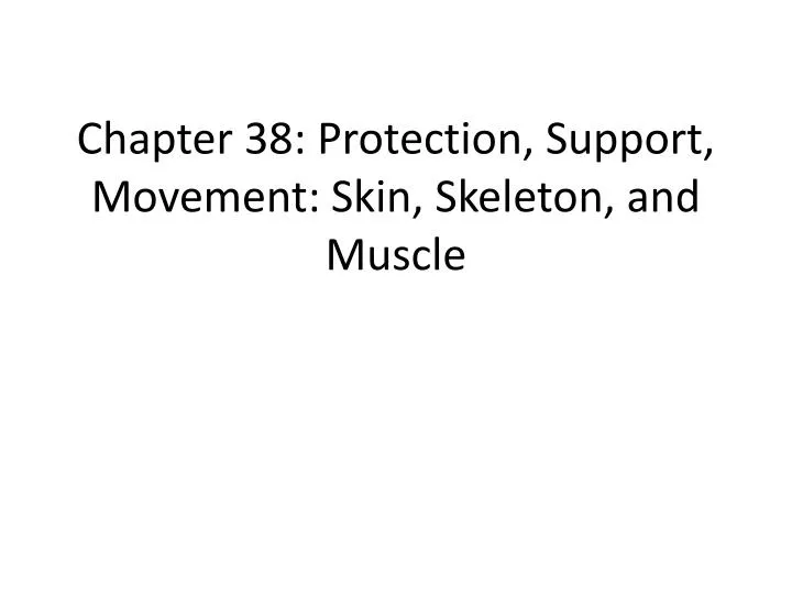 chapter 38 protection support movement skin skeleton and muscle