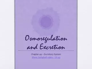osmoregulation and excretion