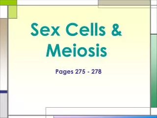 Sex Cells &amp; Meiosis