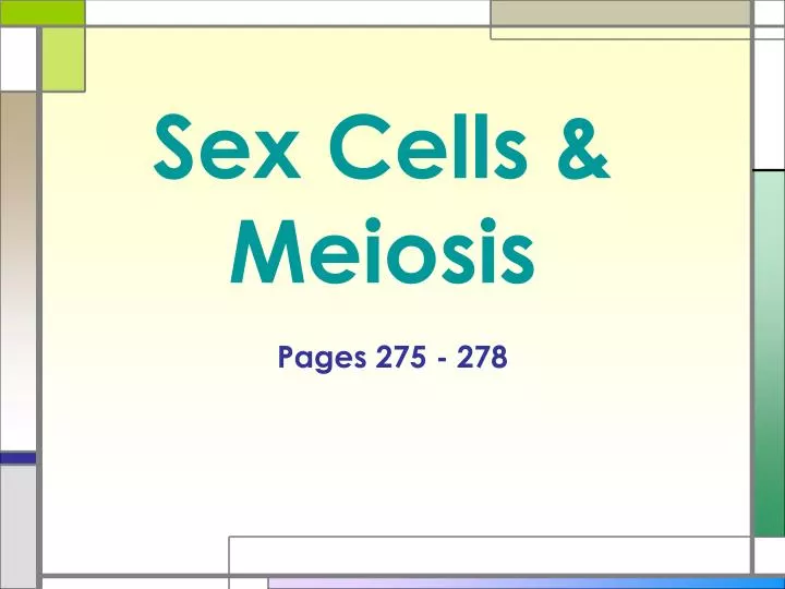 sex cells meiosis