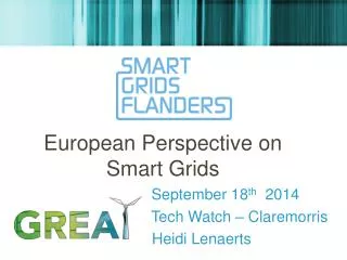 European Perspective on Smart Grids