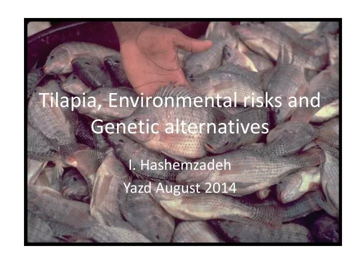 tilapia environmental risks and genetic alternatives