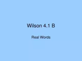 Wilson 4.1 B