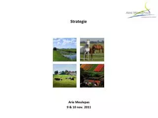 strategie