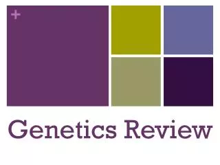 Genetics Review