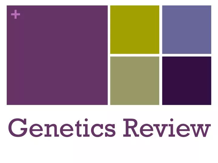 genetics review