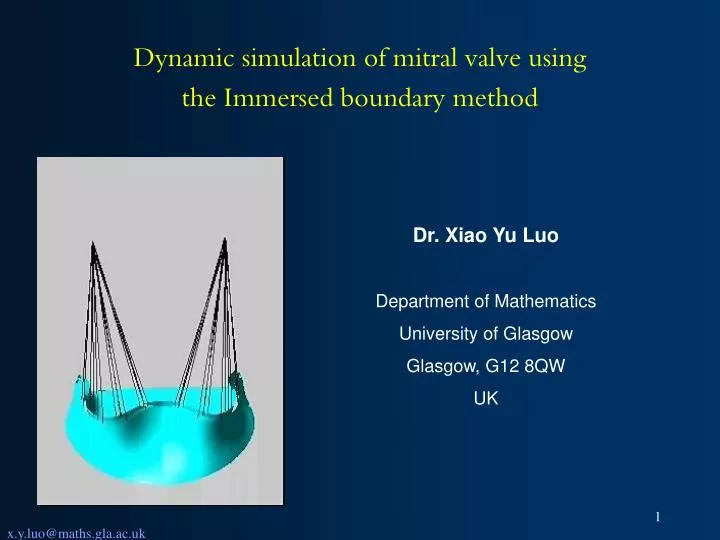 dynamic simulation of mitral valve using the immersed boundary method