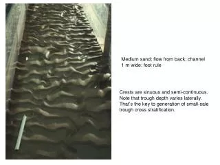 Medium sand; flow from back; channel 1 m wide; foot rule