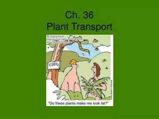 Ch. 36 Plant Transport
