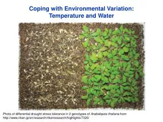 Coping with Environmental Variation: Temperature and Water