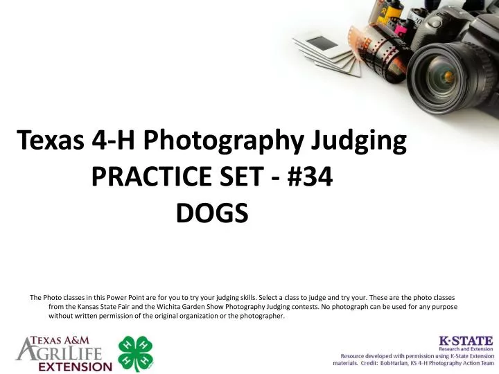 texas 4 h photography judging practice set 34 dogs
