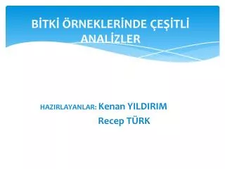 b tk rnekler nde e tl anal zler