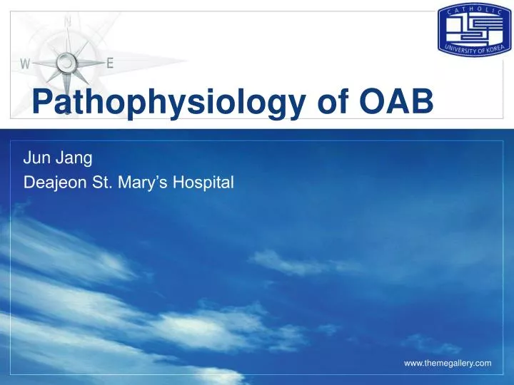 pathophysiology of oab