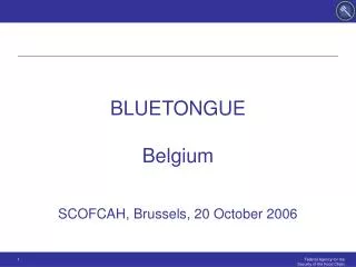 BLUETONGUE Belgium SCOFCAH, Brussels, 20 October 2006