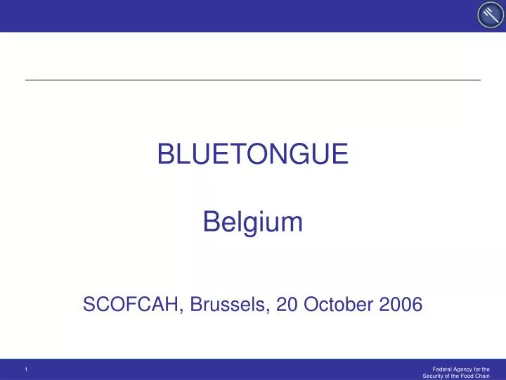 bluetongue belgium scofcah brussels 20 october 2006