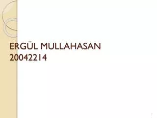 erg l mullahasan 20042214