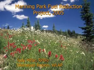 Manning Park Fuel Reduction Project, 2005
