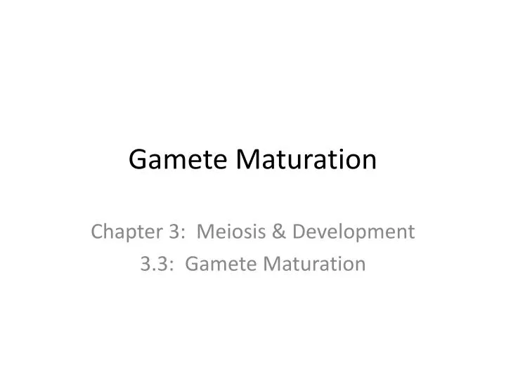 gamete maturation