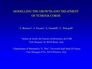 MODELLING THE GROWTH AND TREATMENT OF TUMOUR CORDS
