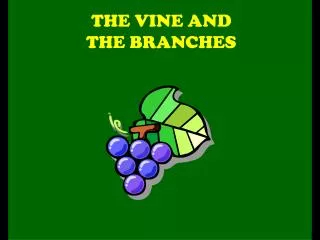 THE VINE AND THE BRANCHES